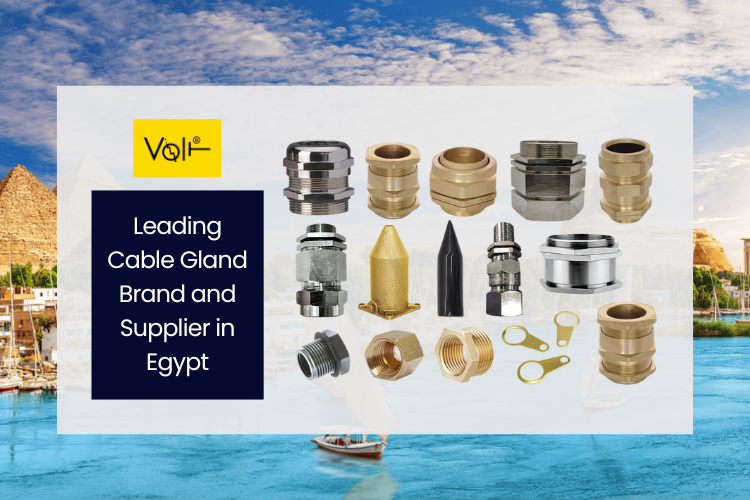 Volt is a Leading Brand and Supplier of Cable Gland, Single Compression Cable Gland, Double Compression Cable Gland, & PG Cable Gland in Egypt